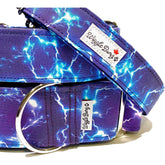 Lightning - BigPawShop